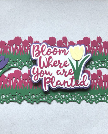 Bloom Where You are Planted