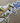 Feathered Friends Bordertitle
