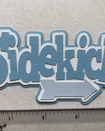 Sidekick NSD 2019