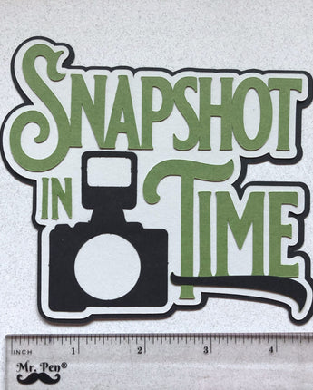 Snapshot in Time