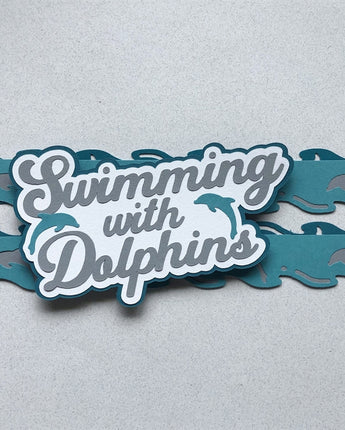 Swimming with Dolphins