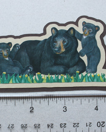 Zoo Series - Bears