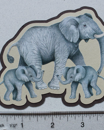 Zoo Series - Elephants